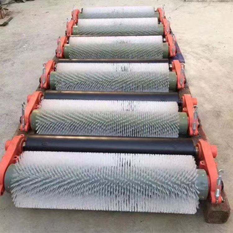 Reguliga plenumo kaj transporta zono -purigado
